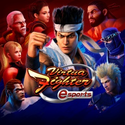 ꡼ No.019Υͥ / Virtua Fighter esportsפϲѤä ʲեåȥ饤ȥ졼˥󥰥⡼ɤå