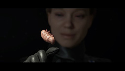 ꡼ No.008Υͥ / 罨״ļ餬ԽPS5DEATH STRANDING DIRECTOR'S CUTפΡȥեʥ롦ȥ졼顼ɤ