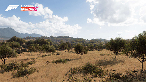 ꡼ No.005Υͥ / Forza Horizon 5ס䳤ߡлʤɡо줹ᥭΤޤޤʥ󤬸