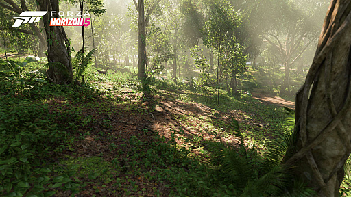 ꡼ No.006Υͥ / Forza Horizon 5ס䳤ߡлʤɡо줹ᥭΤޤޤʥ󤬸