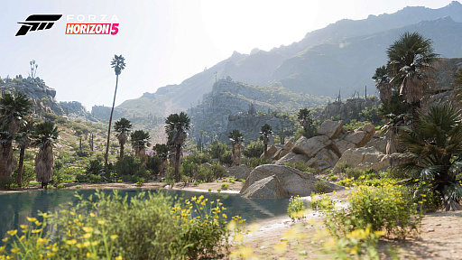 ꡼ No.007Υͥ / Forza Horizon 5ס䳤ߡлʤɡо줹ᥭΤޤޤʥ󤬸