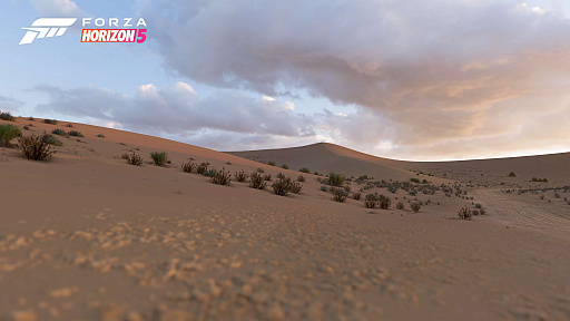 ꡼ No.009Υͥ / Forza Horizon 5ס䳤ߡлʤɡо줹ᥭΤޤޤʥ󤬸