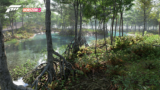 ꡼ No.010Υͥ / Forza Horizon 5ס䳤ߡлʤɡо줹ᥭΤޤޤʥ󤬸