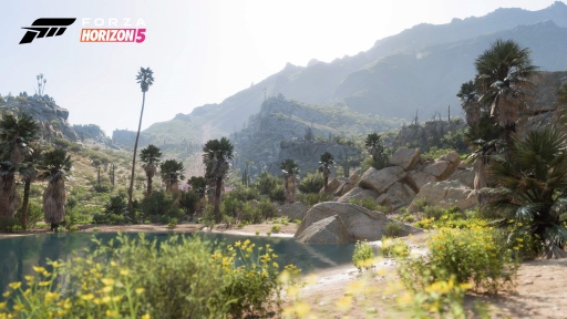꡼ No.007Υͥ / ᥭ缫ȴForza Horizon 5ץӥ塼PCǤϥȥ磻б­ٹ⤷