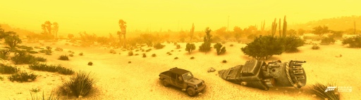 ꡼ No.016Υͥ / ᥭ缫ȴForza Horizon 5ץӥ塼PCǤϥȥ磻б­ٹ⤷
