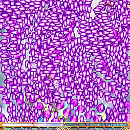 ꡼ No.072Υͥ / Switchǡɱޡפǿܥ˥٥󥸤褦 ä⤹ȥ󥸥⡼ɡɹάԤϺǽꡦ3̥ꥢޤǤϤ