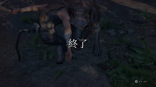 ꡼ No.014Υͥ / ELEX IIץץ쥤ݡȡʤ뤿ᡤåȥѥåǽĲ̵Ԥ˹륪ץRPG