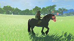 ���������꡼ No.009�Υ���ͥ������ / �ϥ������⤭�������֥���������⡡�ƥ������� ���� �� ���󥰥���פǺǽ�˲��򤷤���ʬ����ʤ��Ȥ��Τ��������������