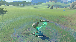 ���������꡼ No.036�Υ���ͥ������ / �ϥ������⤭�������֥���������⡡�ƥ������� ���� �� ���󥰥���פǺǽ�˲��򤷤���ʬ����ʤ��Ȥ��Τ��������������