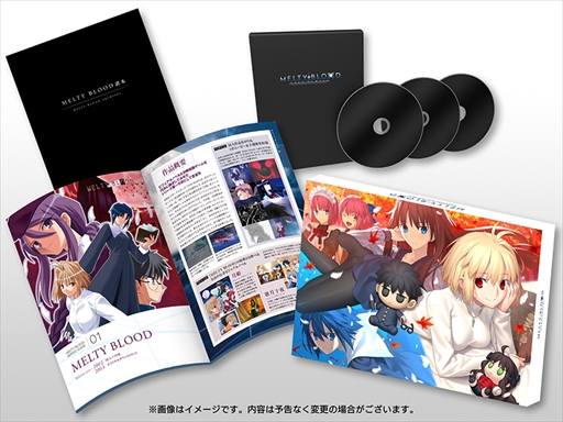 ꡼ No.017Υͥ / MELTY BLOOD: TYPE LUMINAסץ쥤֥륭Ρ´ֹɤȯɽХȥ륢ǧǤҲưθ