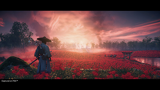 ꡼ No.007Υͥ / Ghost of Tsushima Director's CutפPS5PS4˸820ȯءˤΤοʪڤ