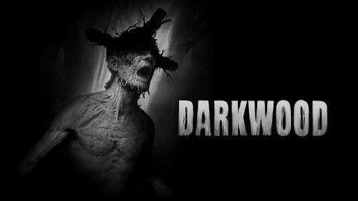 ꡼ No.012Υͥ / PS4/SwitchǡDarkwoodפ92ȯꡣ᤿񸻤ȤƴʿæФܻؤ2DХХۥ顼