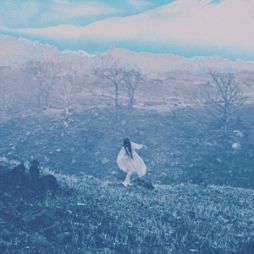 画像ギャラリー No.003のサムネイル画像 / 「メメントモリ」のキャラクターMV“イリア”公開。Twitterでキャンペーンも実施