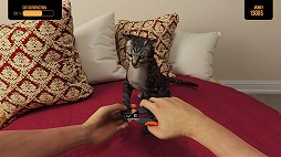 ꡼ No.003Υͥ / ڥåѥۥƥбĥPets Hotelפȯɽ餷ǭޤо줹ȥ쥤顼