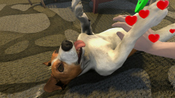 ꡼ No.003Υͥ / ǭʤǤ褦ڥåȥۥƥбĥPets Hotelפ褤꡼