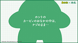 ꡼ No.009Υͥ / Υӥפȥȥ꡼ ˱פȤΥܱ