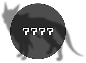 ꡼ No.004Υͥ / ֥ϥ饤֥쥤סǿϤȤ22800ۿ̵ȥ륢åץǡ4ƤξҲ