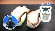 ꡼ No.007Υͥ / ϵɱҷ6פκǿȥ쥤顼ȿ٤Ʊ!? ŷμʿԡɤ