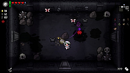 ꡼ No.009Υͥ / The Binding of Isaac: RepentanceפPS5/Switch2022ǯդȯ䡣Ѳ󥸥ĩॢ󥲡
