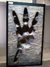 画像ギャラリー No.003のサムネイル画像 / 「モンスターハンター」とのコラボルームに宿泊できるチャンス。予約受付を本日15:00に開始予定