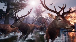 ���������꡼ No.004�Υ���ͥ������ / �ե������󥬤Ȥʤ��缫����ι���륢�������ADV��AWAY�ʥ��������ˡס�5��25���˥�꡼�����ꡣ�ϥԥͥåȥ�����ե������˽�Ÿ����