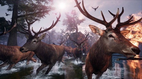 ���������꡼ No.023�Υ���ͥ������ / �ե������󥬤Ȥʤ��缫����ι���륢�������ADV��AWAY�ʥ��������ˡס�5��25���˥�꡼�����ꡣ�ϥԥͥåȥ�����ե������˽�Ÿ����