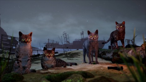 ���������꡼ No.029�Υ���ͥ������ / �ե������󥬤Ȥʤ��缫����ι���륢�������ADV��AWAY�ʥ��������ˡס�5��25���˥�꡼�����ꡣ�ϥԥͥåȥ�����ե������˽�Ÿ����