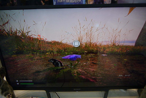 画像ギャラリー No.008のサムネイル画像 / 「ハピネット ゲームフェス!〜2023春の陣〜」,フクロモモンガとして弱肉強食の掟を体感する「AWAY(アウェイ)」のインプレッションをお届け