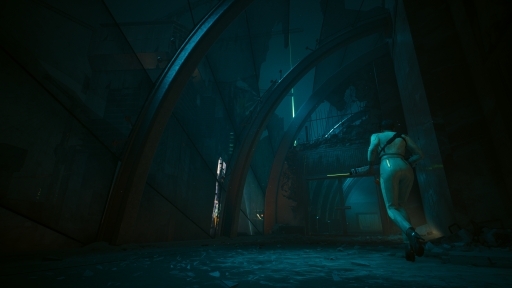 ���������꡼ No.012�Υ���ͥ������ / �Υץ쥤��ݡϡ֥����С��ѥ�2077�׽���緿�ɲå���ƥ�ġֲ����μ�ͳ�פ�����θ����ʥ��ȥ��ƥ��ο����ꥢ��Ÿ�����륹�ѥ�����顼