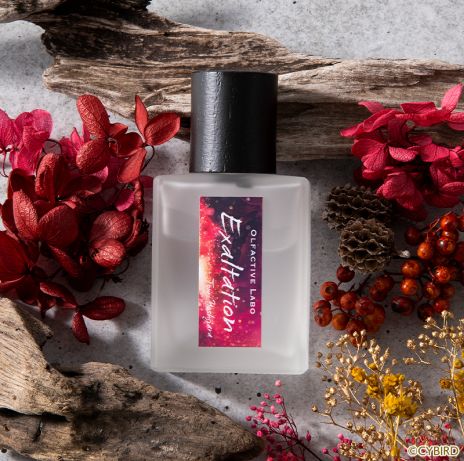 ꡼ No.005Υͥ / ٹ ֤󤬥ѥԷĴդ餸륷奨CDPerfumer Ĵա Perfumer.VII ˧ȥס㥹ȥ󥿥ӥ塼