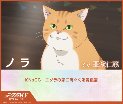 ꡼ No.013Υͥ / TV˥֥ƥΥ Сޥɡס5ԥåȤȤ餹