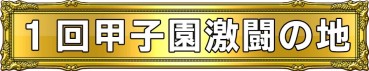 ꡼ No.019Υͥ / Ѵߥޥ6RRפŹй饤Ѵ߹ûұɤ