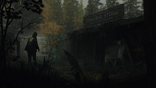 ꡼ No.002Υͥ / 1017Υ꡼ȯɽ줿Alan Wake 2ס⤦1ͤμ͸˥եǿȥ쥤顼