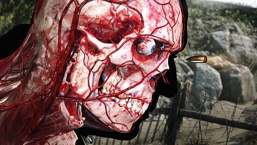 ꡼ No.005Υͥ / Sniper Elite 5PS5/PS4ܸѥåǡȯ䡣ʥζץȡȥ顼ɤĩॷ꡼ǿ