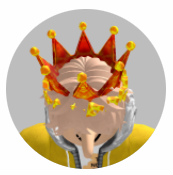 ꡼ No.003Υͥ / ץϥ롼סRobloxWeb3󥸥ư