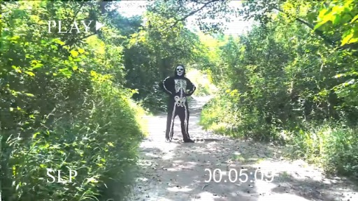 ꡼ No.010Υͥ / Vampire Survivorsס饤ޥץ쥤PC󥷥塼޵˺⤦顤⤦о줷