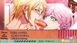 ꡼ No.007Υͥ / ֥塼ԥåȡѥ饵 -Sweet  Spicy Darling.-ס䥷ӡ饦ȤΤ꤬ǧǤץ쥤ࡼӡ3ܤ