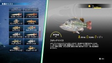 ꡼ No.032Υͥ / PS5/PS4ǡBassmaster Fishing 2022פ317ȯ䡣B.A.S.S.ƥĤǥץ󥰥顼ãĩ
