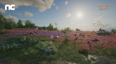 ꡼ No.005Υͥ / MMORPGTHRONE AND LIBERTYסȯؤˤҲưDirectors PreviewɤϡPlay For All