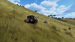 ꡼ No.004Υͥ / Way of the HunterסDLC֥ޥꥭפ26ȯ䡣֥䥮о줹ǿȥ쥤顼