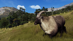 ꡼ No.007Υͥ / Way of the HunterסDLC֥ޥꥭפ26ȯ䡣֥䥮о줹ǿȥ쥤顼