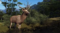 ꡼ No.010Υͥ / Way of the HunterסDLC֥ޥꥭפ26ȯ䡣֥䥮о줹ǿȥ쥤顼