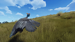 ꡼ No.008Υͥ / ˥塼ɤ缫ǼĤڤ롣Way of the HunterסɲDLC֥ޥꥭۿ