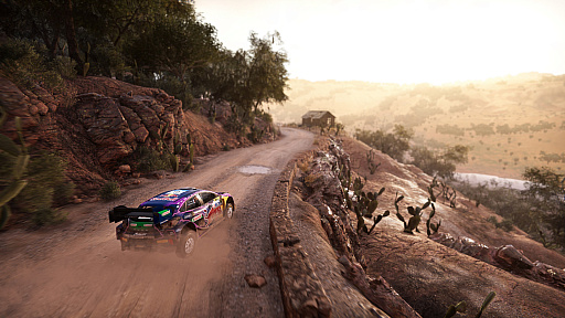 ꡼ No.003Υͥ / WRC Generationsסϥ֥åɥ꡼ե㡼ǿȥ쥤顼
