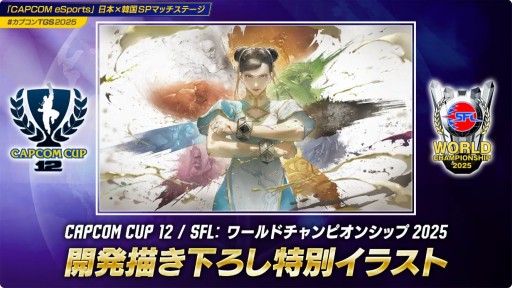���������꡼ No.003�Υ���ͥ������ / ��CAPCOM CUP 12�ס�SFL�����ɥե����ʥ�פδ�������å��������䤬10��10���˳��ϡ��辡�Υ饤�ֻ�İ��ͭ���ˡ�TGS2025��