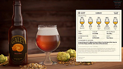 ꡼ No.011Υͥ / ӡ¤ʥ֥꡼˥Brewmaster: Beer Brewing Simulatorפκǿȥ쥤顼