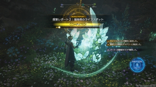 ꡼ No.021Υͥ / Υץ쥤ݡϡFINAL FANTASY VII REBIRTHץ饹ɥꥢõʥեɤˤϥߥåߥ˥ब