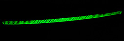 ꡼ No.012Υͥ / ˡΥޡǥץ쥤INZONE M9פåPS5ǤPCǤ⤤륲ޡ1ƤϤȤƤ⤷äꤷʤ