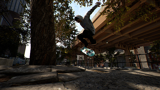 ꡼ No.005Υͥ / ܡSession: Skate Simס꡼PC/XboxǤPSǤä922