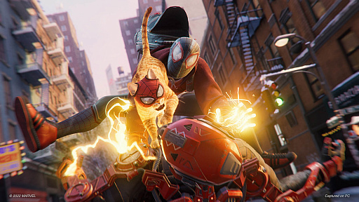 ꡼ No.003Υͥ / PCǡMarvel's Spider-Man:Miles Moralesס꡼ϥ٥ʥեåŷϰӲ